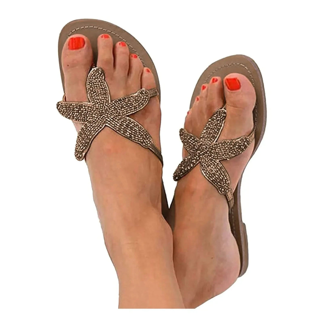 Coastal Sea Star Slides