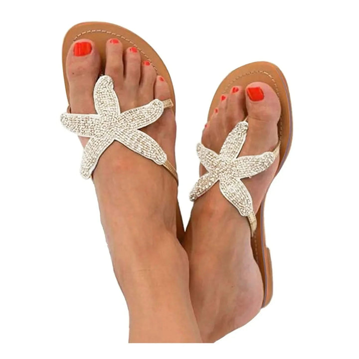 Coastal Sea Star Slides