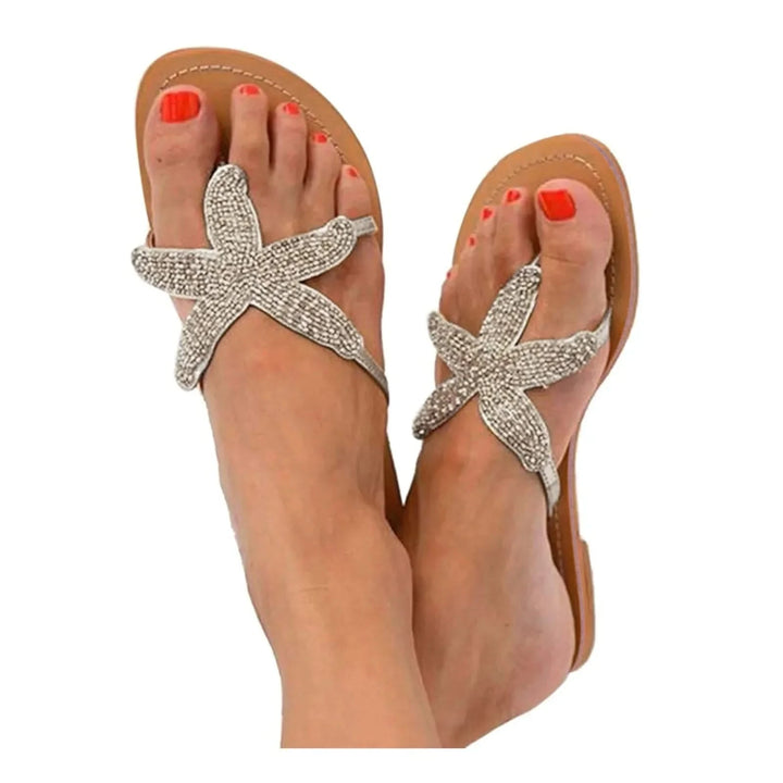 Coastal Sea Star Slides