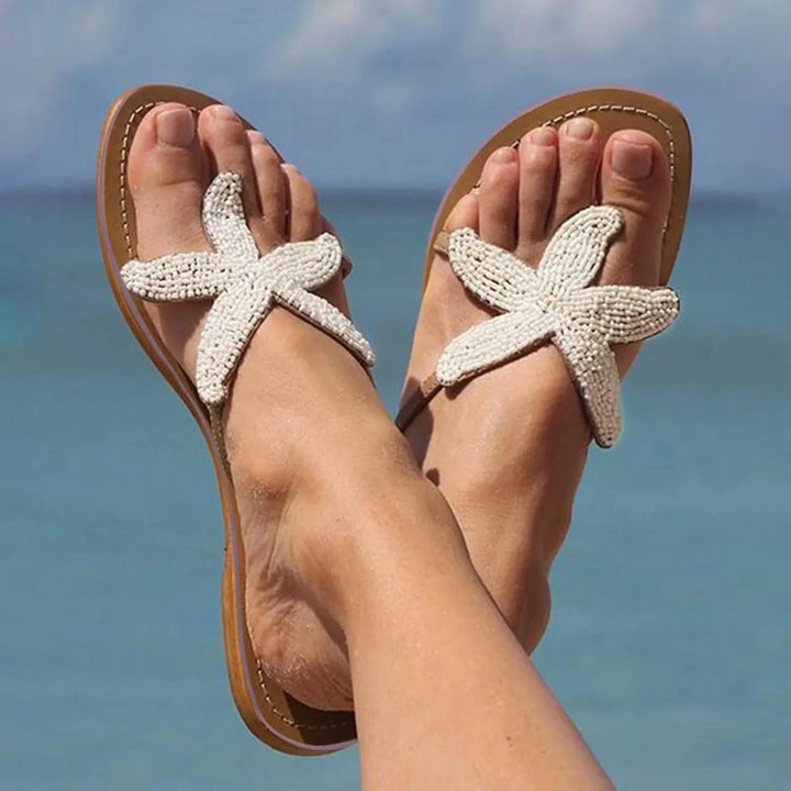 Coastal Sea Star Slides