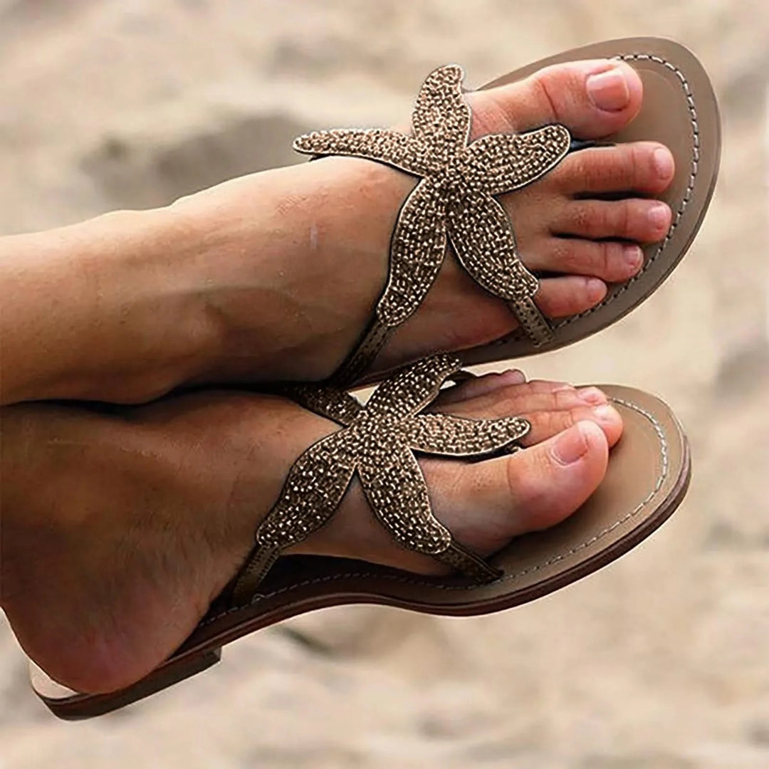 Coastal Sea Star Slides