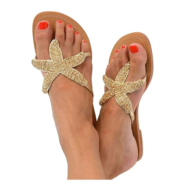 Coastal Sea Star Slides